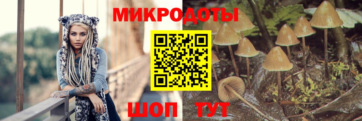 Галлюциногенные грибы мухоморы Евпатория